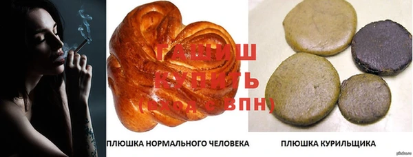 a pvp Каменка