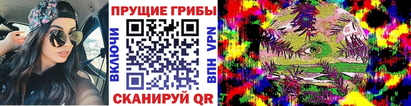 Галлюциногенные грибы мицелий  Купить закладки  Звенигово 